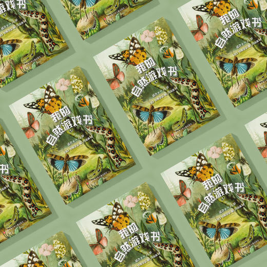 《我的自然游戏书》 商品图2