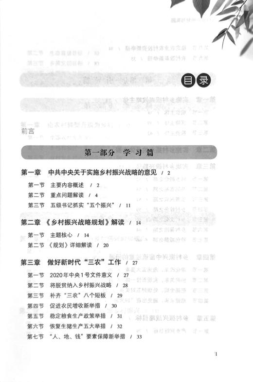 乡村振兴策划与实施：乡村振兴，赋能前行 商品图1