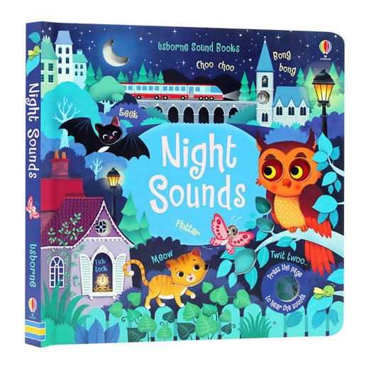 奇妙触摸发声书 聆听夜晚的声音 英文原版绘本 Usborne Night Sounds 幼儿英语启蒙故事书 英文版进口原版书籍 商品图0