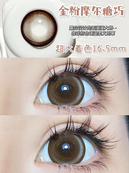 超大直径丨摩尔糖巧·Sheepcon丨金粉款14.5mm（年抛/2片装） 商品图1