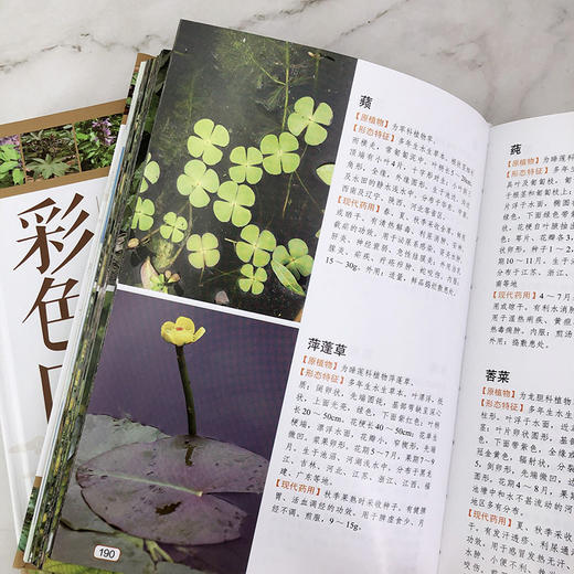 本草纲目药物彩色图鉴 商品图9