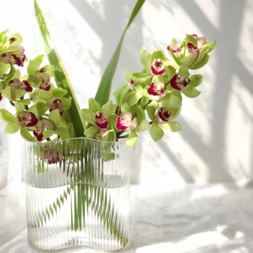 我与花儿的这些年 商品图0