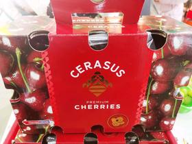 金蜜蜂3JD车厘子一箱