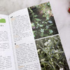 本草纲目药物彩色图鉴 商品缩略图4