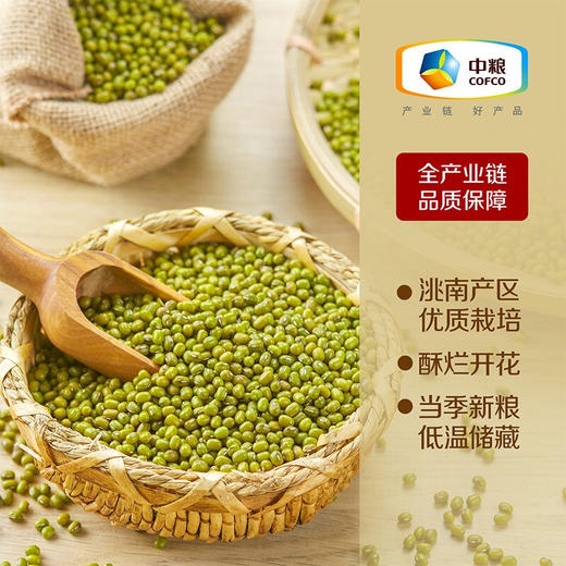 【D】中粮初萃洮南绿豆1kg 粗粮 东北特产 五谷杂粮 商品图1