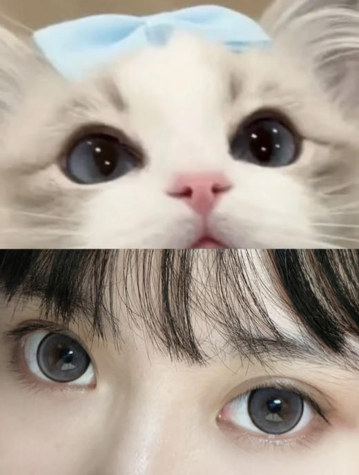 超大直径丨牛奶珍宝珠·Sheepcon丨14.5mm（年抛/2片装） 商品图4