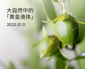 它被称为万能的护肤油！