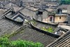01月15日 江门·良溪古村·“胡杨林”映红落雨杉一天摄影 商品缩略图3