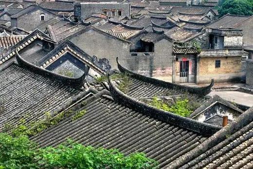 01月15日 江门·良溪古村·“胡杨林”映红落雨杉一天摄影 商品图3