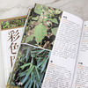 本草纲目药物彩色图鉴 商品缩略图7