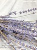 干花 ｜ 薰衣草 商品缩略图1