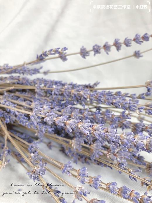 干花 ｜ 薰衣草 商品图1