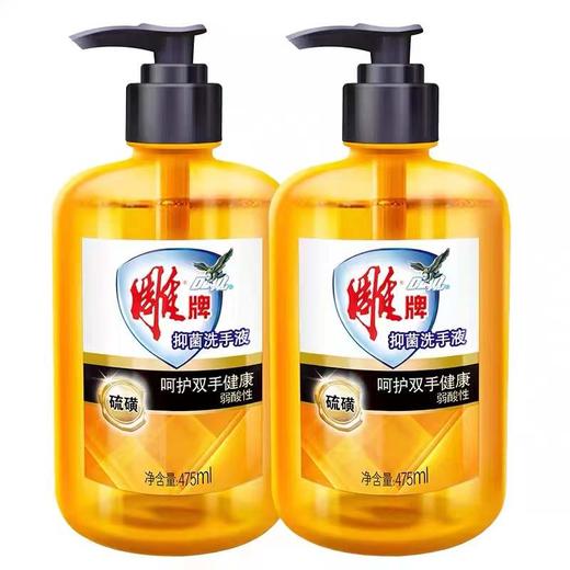 475ML雕牌抑菌洗手液 硫磺 商品图0