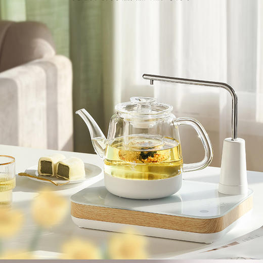 永利汇煮茶器家用多功能全自动上水壶花茶壶办公室小型养生电水壶 商品图3