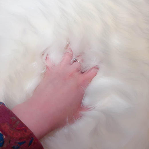 新疆小尾寒羊 羊毛/羊皮毯/羊皮褥/皮毛一体纯手工 商品图5