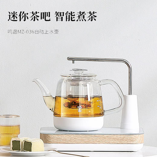 永利汇煮茶器家用多功能全自动上水壶花茶壶办公室小型养生电水壶 商品图0