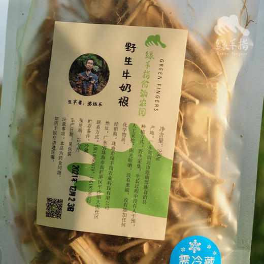 野生牛奶根 | 合作生产*wild-Eucommia ulmoides | Coproduction 商品图0