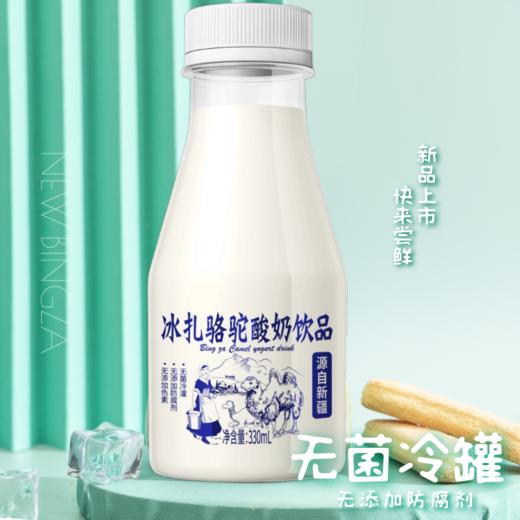 冰扎骆驼酸奶饮品丨 酸奶 骆驼奶 美味 冷罐 酸甜口味 商品图3