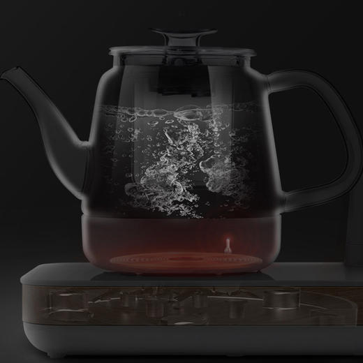永利汇煮茶器家用多功能全自动上水壶花茶壶办公室小型养生电水壶 商品图2