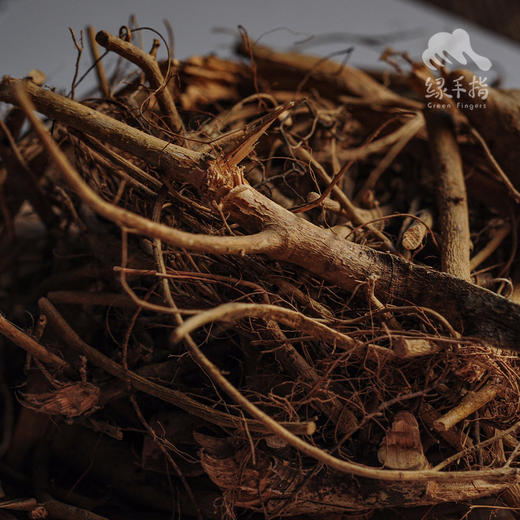 野生牛奶根 | 合作生产*wild-Eucommia ulmoides | Coproduction 商品图4