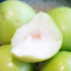 有机青枣 | 绿家自产*Organic Green jujube | Self-production