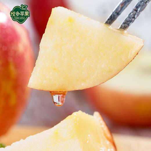 悦多风霜蜜 山东红富士苹果树上熟  礼盒装平安果  节日水果 商品图3