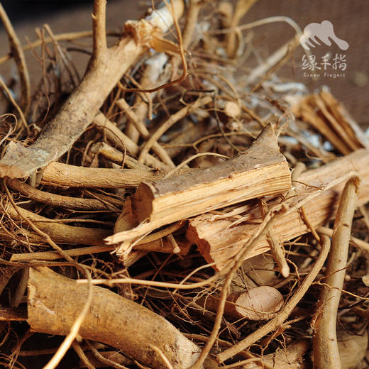 野生牛奶根 | 合作生产*wild-Eucommia ulmoides | Coproduction 商品图3