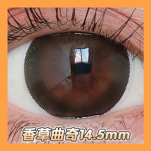 大直径丨香草曲奇·Sheepcon丨14.5mm（年抛/2片装） 商品图0