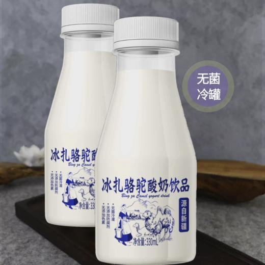 冰扎骆驼酸奶饮品丨 酸奶 骆驼奶 美味 冷罐 酸甜口味 商品图0