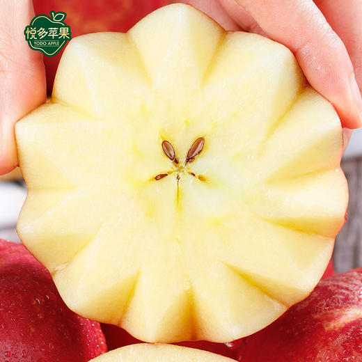 悦多风霜蜜 山东红富士苹果树上熟  礼盒装平安果  节日水果 商品图4