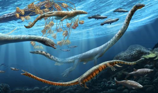 定制类研学 商品图1