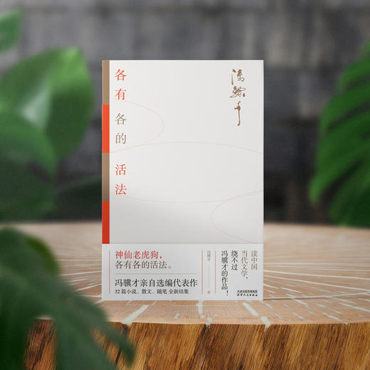 各有各的活法 | 冯骥才亲自选编，32篇文字跨越40年全新结集 商品图2