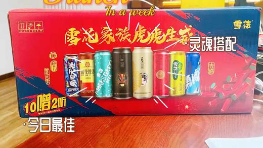 虎虎生威啤酒一箱（拼团） 商品图3