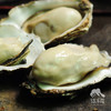 生态生蚝 | 合作生产 *   Ecological oyster | Coproduction 商品缩略图4