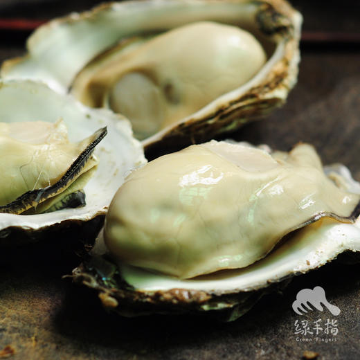 生态生蚝 | 合作生产 *   Ecological oyster | Coproduction 商品图4