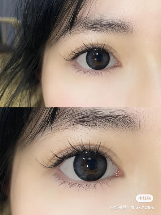 半年抛 Cheoco 芝麻酥 14.5 着色13.7 商品图2