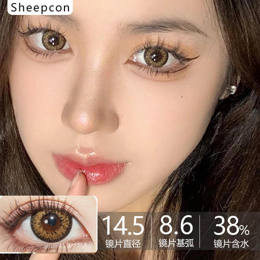 Sheepcon大直径品牌- 格洛棕色 商品图0