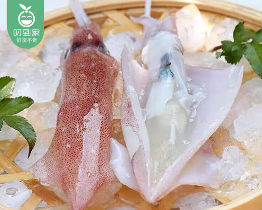 东山鲜冻带籽母管（约400g/盒 10-12只） 商品图4