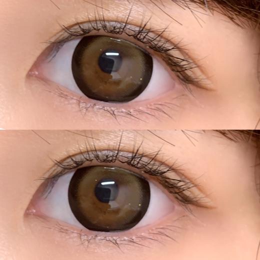 【大直径日抛】费列罗·Papadox丨14.5mm（日抛/一盒10片装） 商品图14