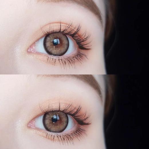 大直径混血丨番石榴棕·Doriscon丨14.5mm（年抛/2片装） 商品图2