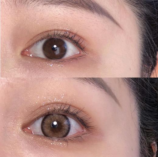 大直径混血丨番石榴棕·Doriscon丨14.5mm（年抛/2片装） 商品图6