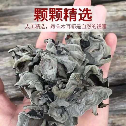 椴树木耳黑木耳干货优质高泡发200g 商品图4