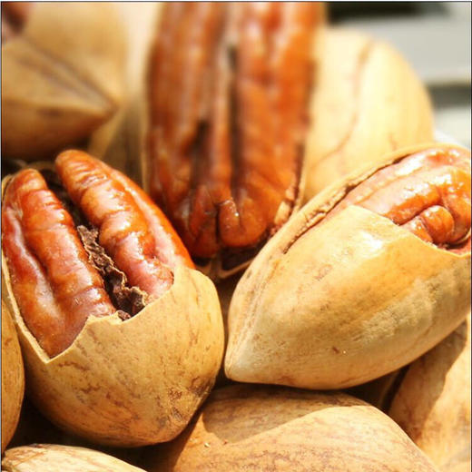 碧根果500克散称