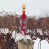 加拿大红冰酒 高奢小众酒庄 VQA认证 安省瀑布区 加拿大原瓶进口 多款 |百里食 商品缩略图9