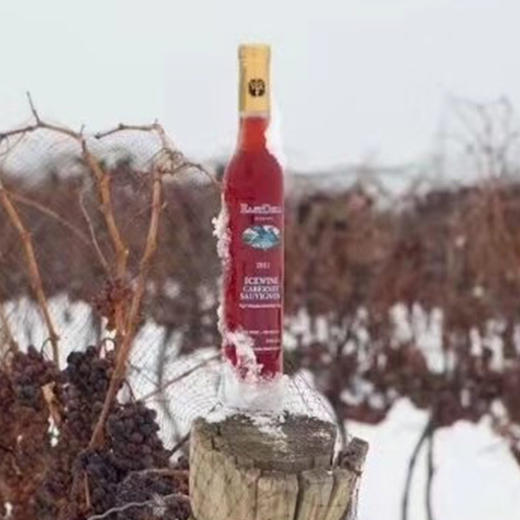 加拿大红冰酒 高奢小众酒庄 VQA认证 安省瀑布区 加拿大原瓶进口 多款 |百里食 商品图9