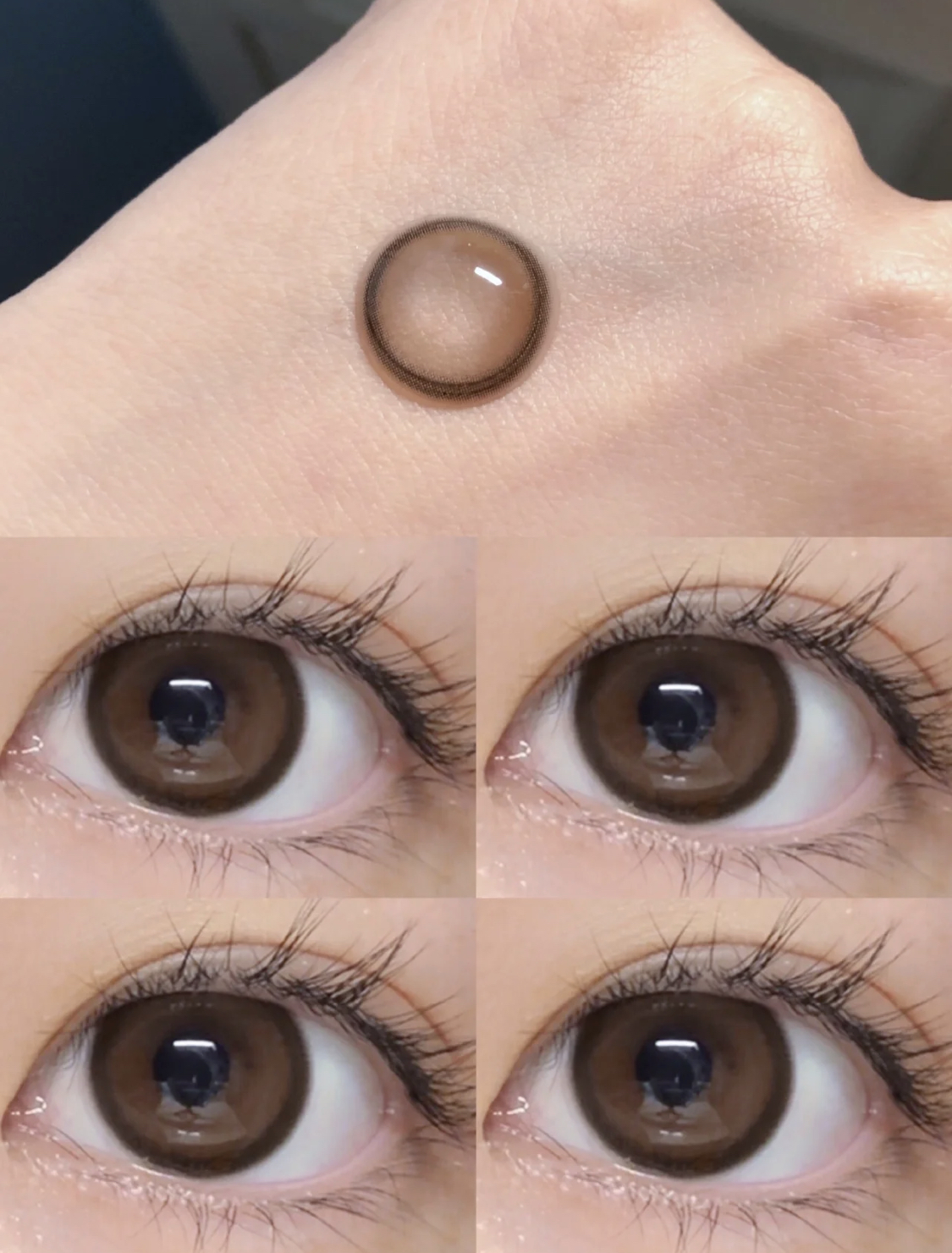 大直径推荐丨肉桂栗棕·Doriscon丨14.5mm（年抛/2片装）