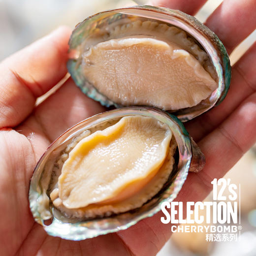 活冻青岛鲍鱼 8头/10头/12头 2斤装 顺丰快递 商品图10