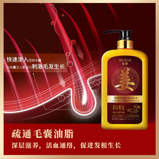 第二代魅赞专业防掉固发去屑止痒高端姜王洗发水 商品图7
