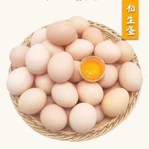 临泉农户散养初生土鸡蛋小鸡蛋初产蛋新鲜适合老人孩子 商品图8