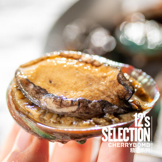 活冻青岛鲍鱼 8头/10头/12头 2斤装 顺丰快递 商品图8